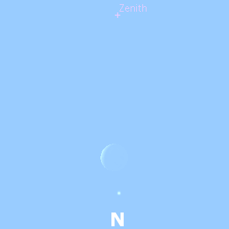 Venus en pleno d&iacute;a