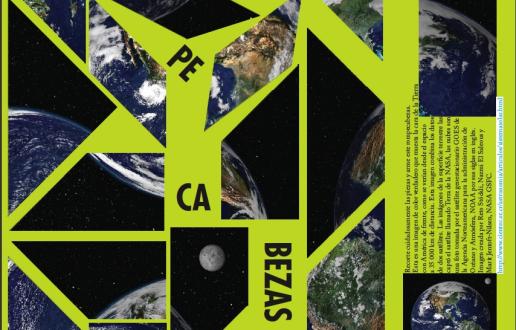 rompecabezas de la Tierra