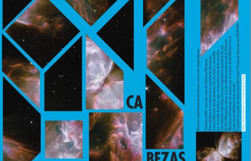 rompecabezas de la Mariposa