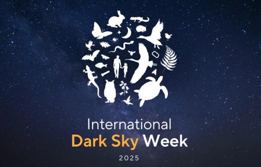 Logo de la Semana de Cielo Oscuro de Darksky