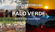 Gira a Palo Verde 2025