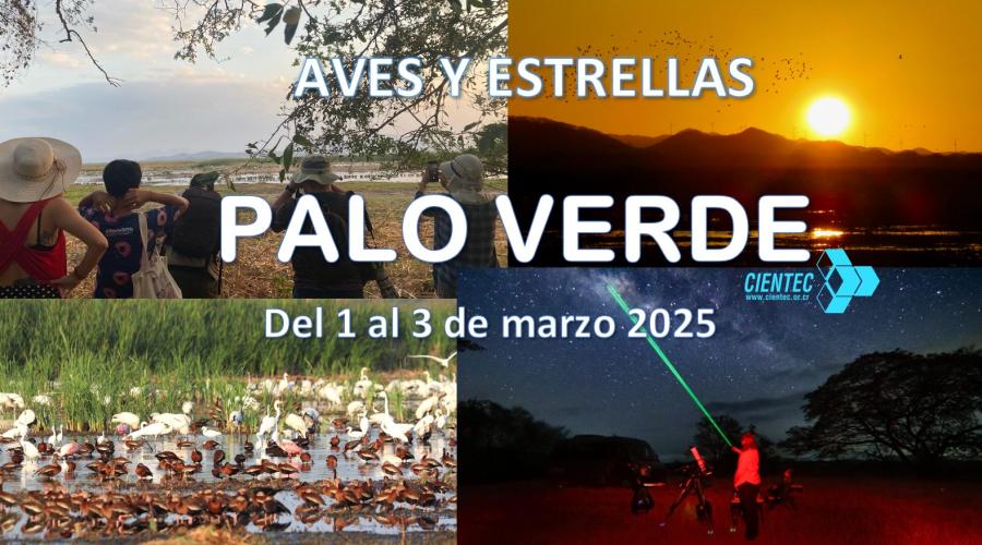 Gira a Palo Verde 2025